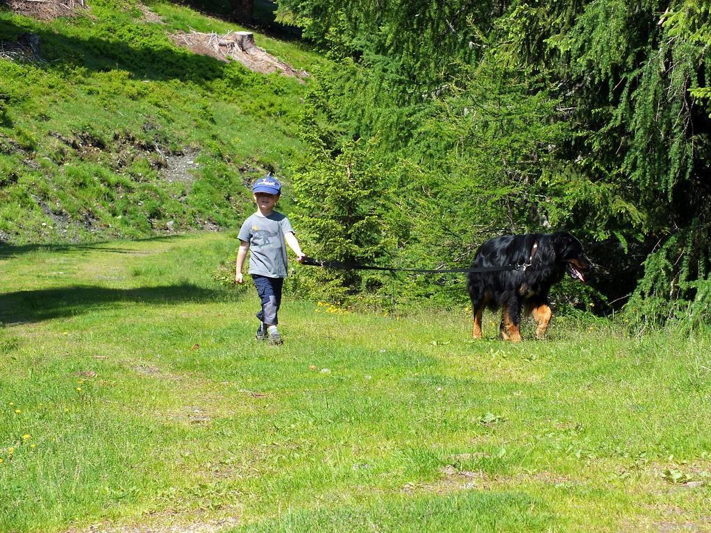 Das Kleine Familienhotel Koch Krems in Kaernten Buitenkant foto